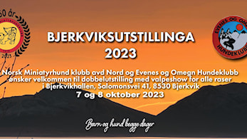 Hundeutstilling i Bjerkvikhallen 7. og 8.oktober